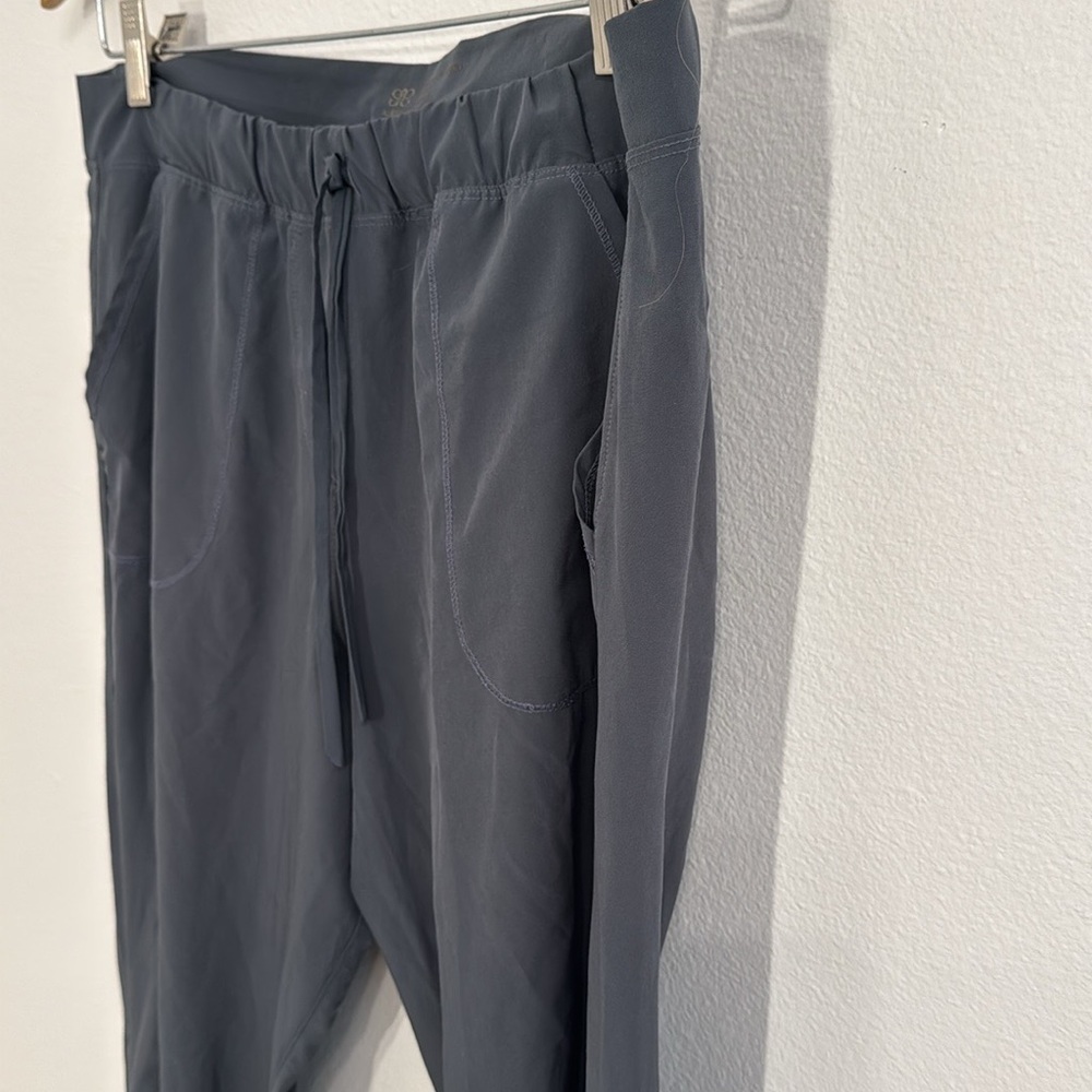 ALBION Jetsetter Joggers Gray Drawstring, Zipper Ankles Size Small EUC - Picture 3 of 7